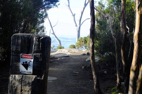 Mt. Wellington Morning Hike + Afternoon Beer & History Walk - Timeshare Accommodation 14