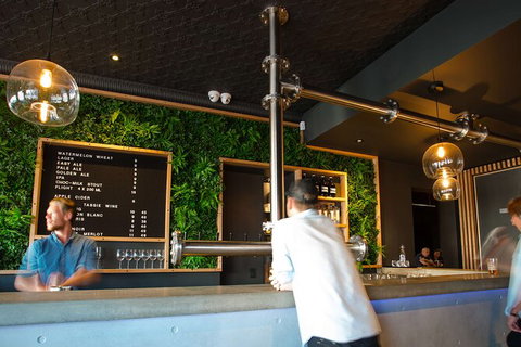 Mt. Wellington Morning Hike + Afternoon Beer & History Walk - Timeshare Accommodation 15