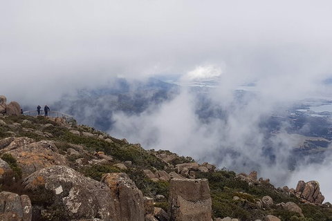 Mt. Wellington Morning Hike + Afternoon Beer & History Walk - Timeshare Accommodation 18