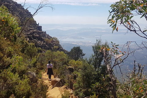 Mt. Wellington Morning Hike + Afternoon Beer & History Walk - Timeshare Accommodation 1
