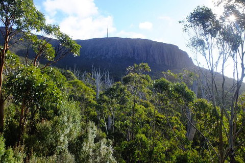 Mt. Wellington Morning Hike + Afternoon Beer & History Walk - Timeshare Accommodation 4