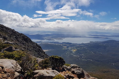 Mt. Wellington Morning Hike + Afternoon Beer & History Walk - Timeshare Accommodation 5