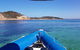 Dolphin And Seal Swim Reef Snorkel Boat Tour Mornington Peninsula - thumb 6