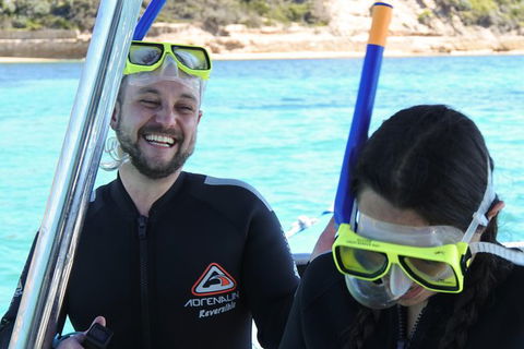 Dolphin And Seal Swim Reef Snorkel Boat Tour Mornington Peninsula - Timeshare Accommodation 17