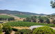 Yarra Valley Cellar Door And Gin Day - thumb 0