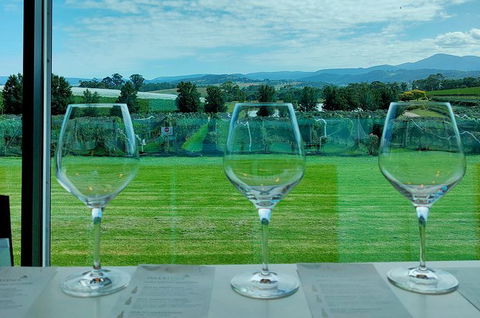 Yarra Valley Cellar Door And Gin Day - Timeshare Accommodation 2