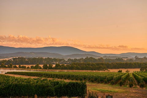 Yarra Valley Wine Masterclass - Up To 6 - Timeshare Accommodation 0