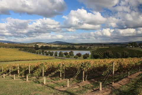 LGBT+ Friendly Full Day Yarra Valley & Dandenong Ranges Private Tour - Timeshare Accommodation 0