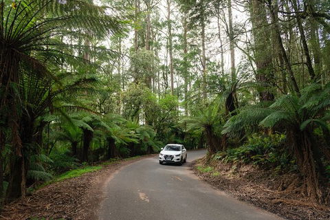 LGBT+ Friendly 3 Day Tour The Grampians, Daylesford & Ballarat - Timeshare Accommodation 1