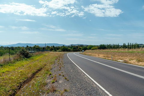 Day Trip To The Yarra Valley Private Tour - Timeshare Accommodation 2