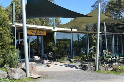 Melbourne Private Fruit Picking Tours (Up To 3 Persons) - Timeshare Accommodation 2