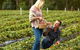 Melbourne Private Fruit Picking Tours (Up To 3 Persons) - thumb 4