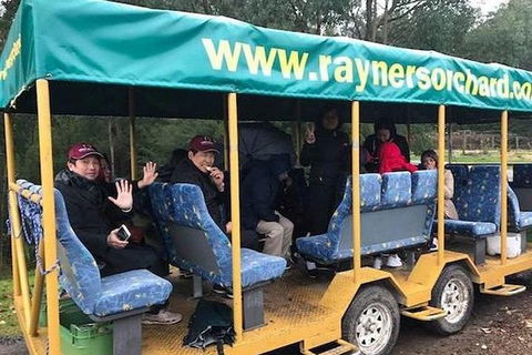 Melbourne Private Fruit Picking Tours (Up To 3 Persons) - Timeshare Accommodation 3