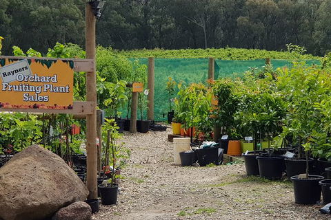 Yarra Valley Wineries And Rayners Orchard Tour From Melbourne - Timeshare Accommodation 0
