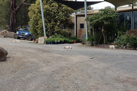 Yarra Valley Wineries And Rayners Orchard Tour From Melbourne - Timeshare Accommodation 24