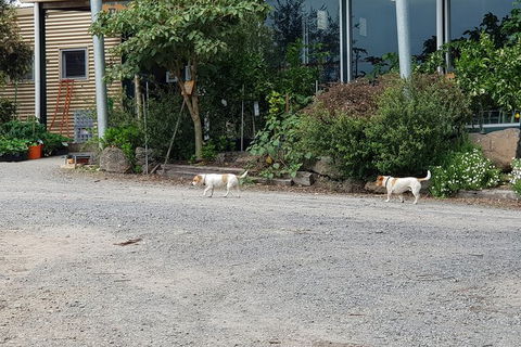 Yarra Valley Wineries And Rayners Orchard Tour From Melbourne - Timeshare Accommodation 23