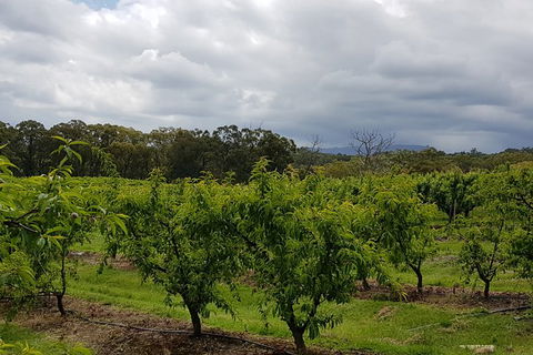 Yarra Valley Wineries And Rayners Orchard Tour From Melbourne - Timeshare Accommodation 18
