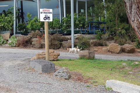 Yarra Valley Wineries And Rayners Orchard Tour From Melbourne - Timeshare Accommodation 1