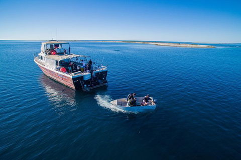 Abrolhos Islands 4 Day Fishing Charter - Timeshare Accommodation 0