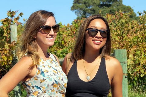 Margaret River Beer & Wine Adventure (departs Dunsborough/Busselton) - Timeshare Accommodation 1