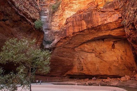 Bungles Day Trek Extended (with Echidna Chasm) - Timeshare Accommodation 0