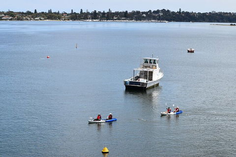 Cliffs And Caves Kayak Tour In Swan River - Timeshare Accommodation 5