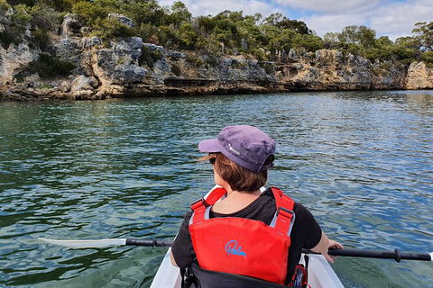 Cliffs And Caves Kayak Tour In Swan River - Timeshare Accommodation 1