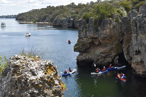 Cliffs And Caves Kayak Tour In Swan River - Timeshare Accommodation 2