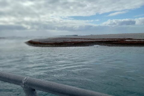 Abrolhos Islands Fishing Charter - Timeshare Accommodation 6