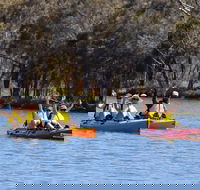 Private Guided River Kayak Tour