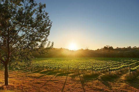 Private Barrel Hall Wine Tasting In The Margaret River Region - Timeshare Accommodation 3