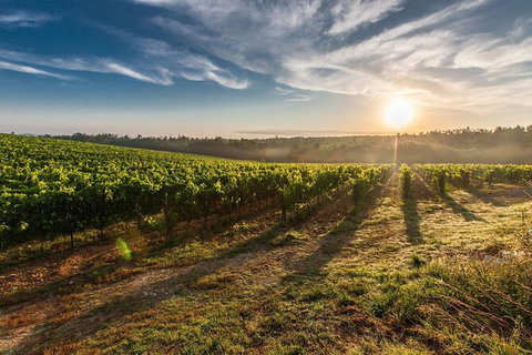 Perth To Margaret River Wine Tour - 2 Day Premium Boutique Wine Tour Experience - Timeshare Accommodation 0