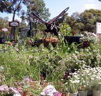 Zanthorrea Nursery - Timeshare Accommodation