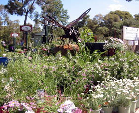 Zanthorrea Nursery - Timeshare Accommodation 0