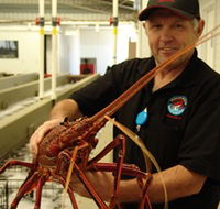Lobster Shack - Timeshare Accommodation