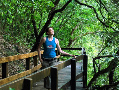 Jungle Tours And Trekking - Timeshare Accommodation 4