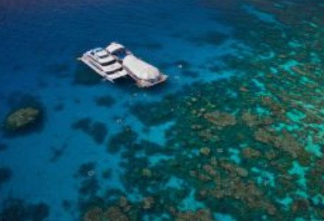 Great Adventures Reef And Green Island Cruises - Timeshare Accommodation 0