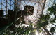 Cairns ZOOm And Wildlife Dome - thumb 1