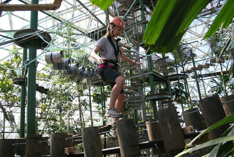 Cairns ZOOm And Wildlife Dome - Timeshare Accommodation 2