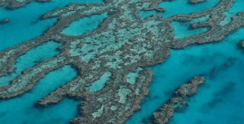 Abel Point Marina - Timeshare Accommodation 4