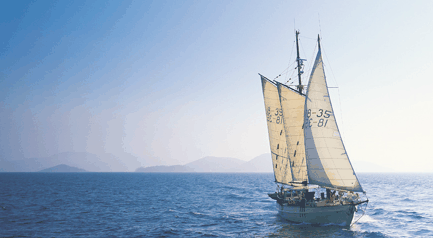 Tallship Adventures - Timeshare Accommodation 0