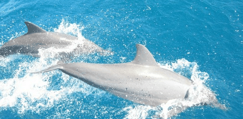 Tallship Adventures - Timeshare Accommodation 3