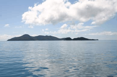 Whitehaven Xpress Whitehaven Beach Tours - Timeshare Accommodation 2
