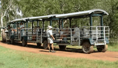 Whitsunday Crocodile Safari - Timeshare Accommodation 2