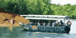 Whitsunday Crocodile Safari - Timeshare Accommodation 3