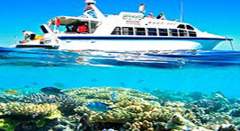 Reef Jet Cruises - Timeshare Accommodation 2