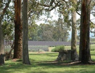 Broadwater QLD Timeshare Accommodation