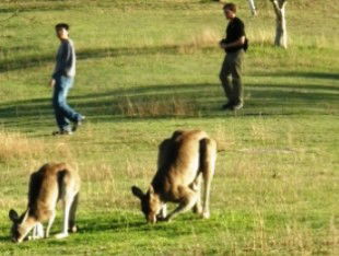 Araucaria Ecotours - Timeshare Accommodation 0