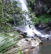 Araucaria Ecotours - Timeshare Accommodation 4