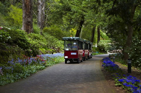 Araluen Botanic Park - Timeshare Accommodation 0